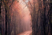 3377体育：业内人士：孙颖莎拍杂志间隙也想练球.