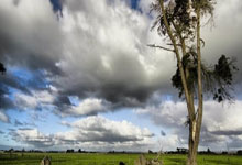 3377体育：[乒乓球]亚洲杯小组赛第1轮：梁靖崑VS阿昌塔 集锦.